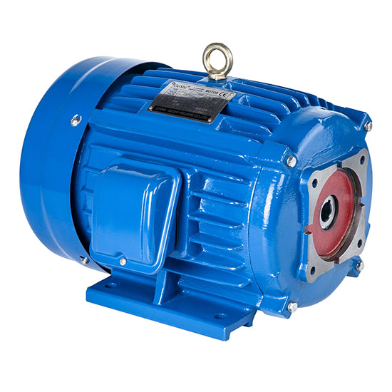 HPP series three phase asynchronous motor special for hydraulic oil pump